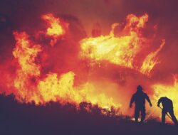 Karhutla Meluas, Puluhan Ribuan Warga California Diminta Mengungsi