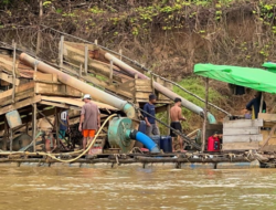 Muncul Raja Baru Ambil Alih Bisnis Emas Ilegal di Kalimantan Barat Setelah Siman Bahar Ditetapkan Tersangka