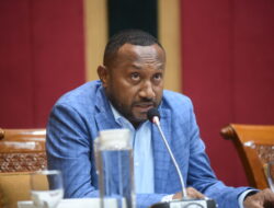 Yan Mandenas Ungkap Sejumlah Lokasi Tambang Ilegal di Papua yang Masih Beroperasi