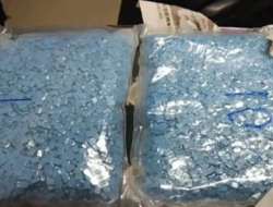 Badan Narkotika Nasional Bongkar Jaringan Narkoba Lintas Pulau, Liquid Vape Jadi Kedok Baru Distribusi Narkotika