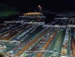 Gakkum KLHK Sita 600 Batang Kayu Ilegal Saat Hendak Disuplai ke Industri di Ketapang