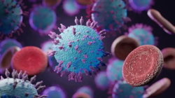 Pemerintah Kanada Gandeng WHO Tangani Kasus Wabah Hantavirus di Kapal Pesiar MV Hondius