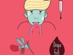 Interval Peningkatan Kasus DBD Kian Pendek, Ini Alasan Kemenkes