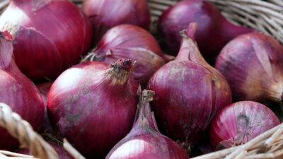 Jelang Nataru, Pemerintah Pastikan Ketersediaan Bawang Merah Aman