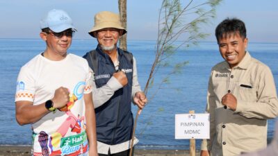 BNPB Tanam Ribuan Pohon Cemara Udang di Pantai Loang Baloq sebagai Mitigasi Tsunami