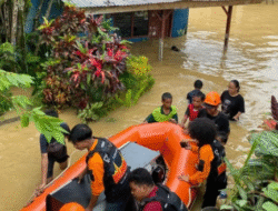 Enam Wilayah di Kota Kendari Diterjang Banjir, Longsor, dan Pohon Tumbang Akibat Hujan Deras