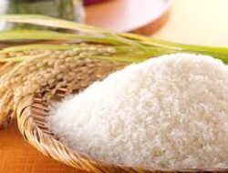 Pengamat: Pemerintah Perlu Sesuaikan HET Beras untuk Stabilkan Harga Pasar